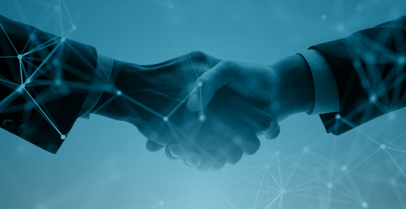 How D&B Egypt Helps Foreign Investors Find Trusted Local Partners